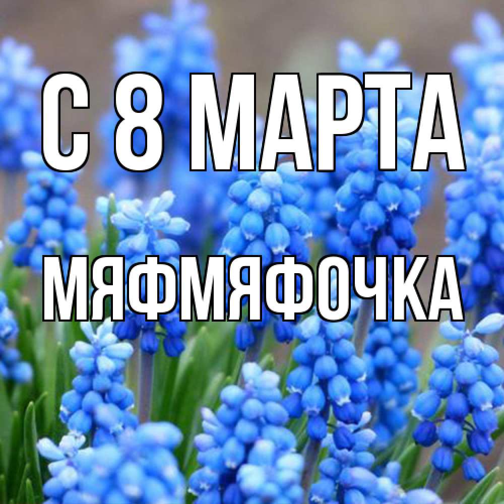 Открытка на каждый день с именем, мяфмяфочка C 8 МАРТА Поздравительная открытка для женщин с цветами на праздничную дату Прикольная открытка с пожеланием онлайн скачать бесплатно 