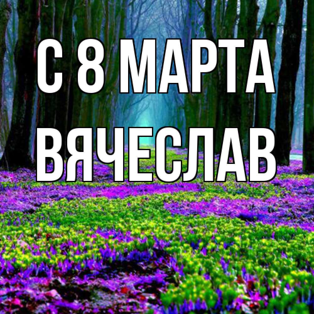 Открытка на каждый день с именем, Вячеслав C 8 МАРТА фиолетовые цветы в лесу 1 Прикольная открытка с пожеланием онлайн скачать бесплатно 