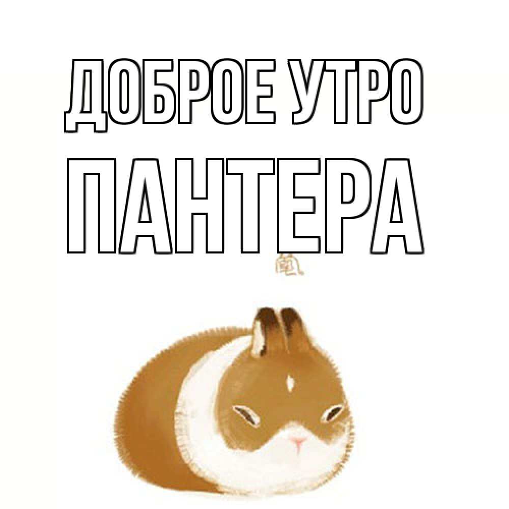 Открытка на каждый день с именем, Пантера Доброе утро хорошего утречка Прикольная открытка с пожеланием онлайн скачать бесплатно 