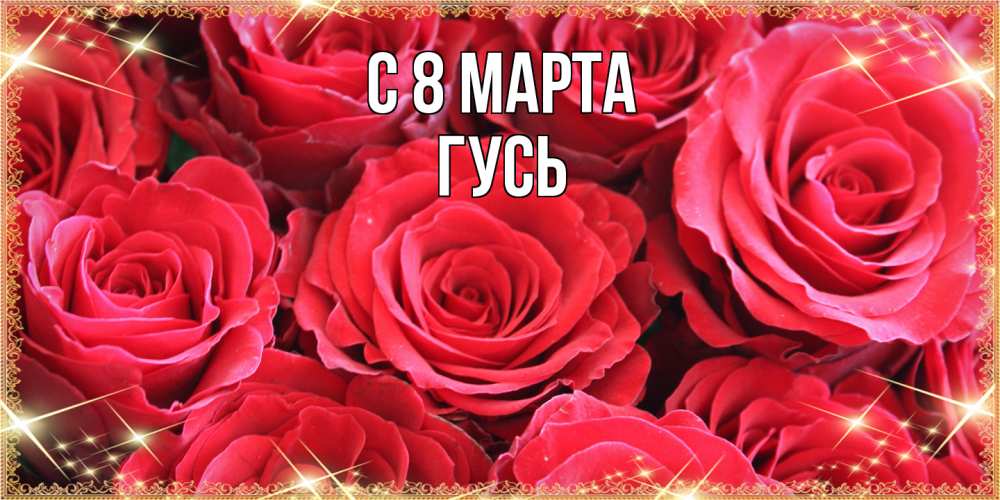 Открытка на каждый день с именем, Гусь C 8 МАРТА открытки на 8 марта 2019 года Прикольная открытка с пожеланием онлайн скачать бесплатно 