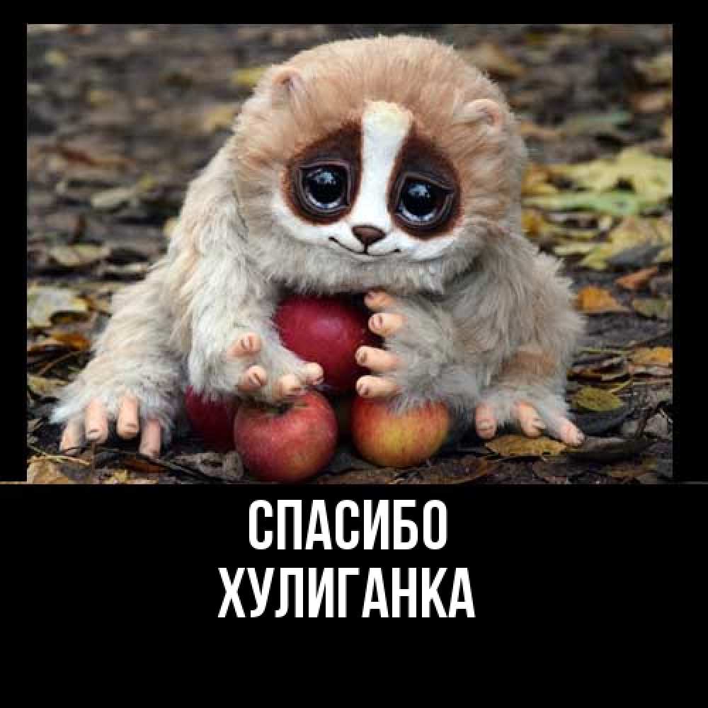 Открытка на каждый день с именем, Хулиганка Спасибо прикольное животное Прикольная открытка с пожеланием онлайн скачать бесплатно 