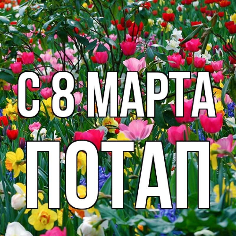 Картинка C 8 МАРТА, Потап