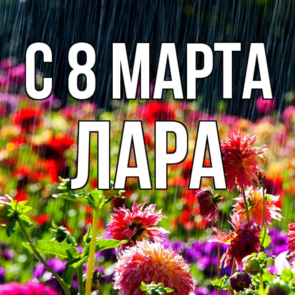 Открытка на каждый день с именем, Лара C 8 МАРТА цветы под дождиком к международному женскому дню Прикольная открытка с пожеланием онлайн скачать бесплатно 