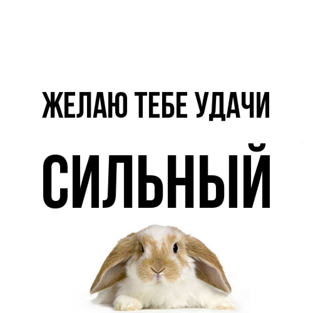 Открытка на каждый день с именем, Сильный Желаю тебе удачи открытки с произвольным текстом который можно вставить в открытку и создать ее самостоятельно бесплатно онлайн Прикольная открытка с пожеланием онлайн скачать бесплатно 
