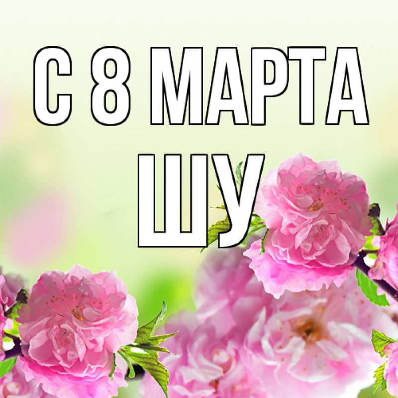 Картинка C 8 МАРТА, Шу