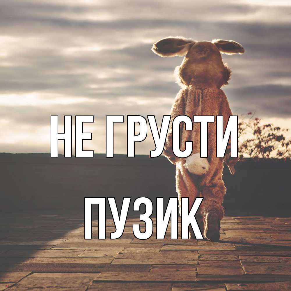 Открытка на каждый день с именем, Пузик Не грусти со спины Прикольная открытка с пожеланием онлайн скачать бесплатно 