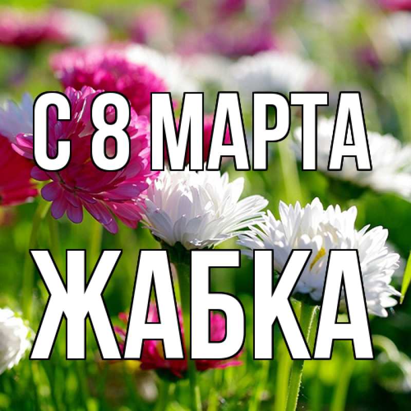 Картинка C 8 МАРТА, Жабка
