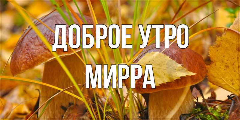 Открытка с именем, Мирра, Доброе утро