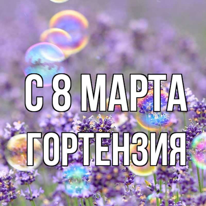 Картинка C 8 МАРТА, Гортензия