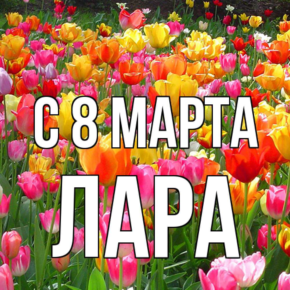 Открытка на каждый день с именем, Лара C 8 МАРТА на международный женский день Прикольная открытка с пожеланием онлайн скачать бесплатно 