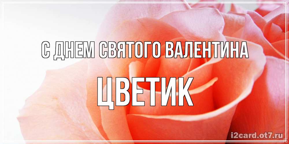 Открытка на каждый день с именем, цветик С днем Святого Валентина открытка на день Святого Валентина с розовой розой Прикольная открытка с пожеланием онлайн скачать бесплатно 