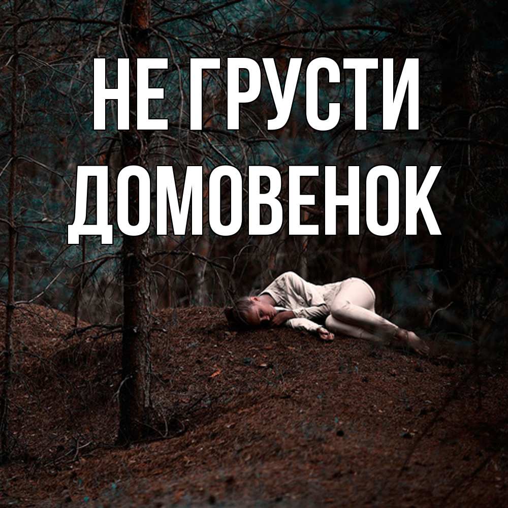 Открытка на каждый день с именем, Домовенок Не грусти лес Прикольная открытка с пожеланием онлайн скачать бесплатно 