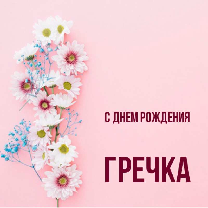 Картинка С днем рождения, Гречка