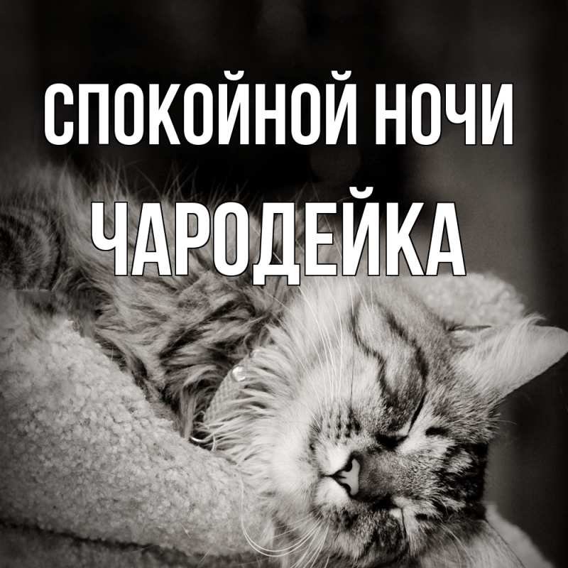 Открытка с именем, Чародейка, Спокойной ночи