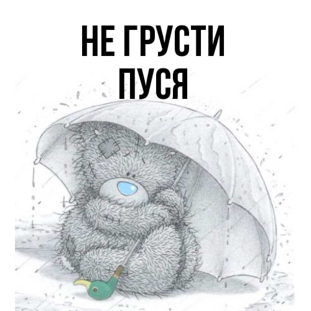 Открытка на каждый день с именем, Пуся Не грусти спасите мишку Тедди Прикольная открытка с пожеланием онлайн скачать бесплатно 