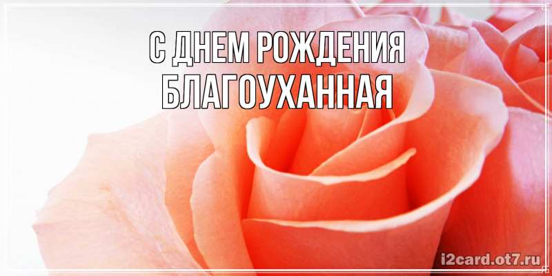 Картинка С днем рождения, благоуханная