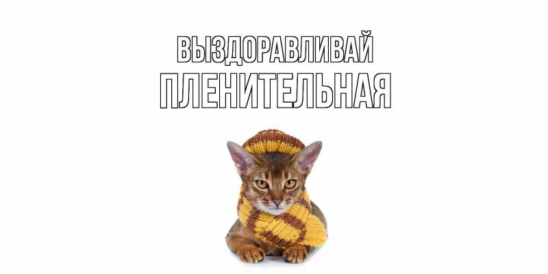 Картинка Выздоравливай, пленительная