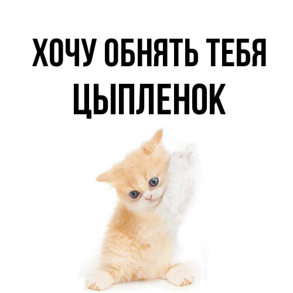 Открытка на каждый день с именем, Цыпленок Хочу обнять тебя я хочу очень скорее обнимаешек Прикольная открытка с пожеланием онлайн скачать бесплатно 