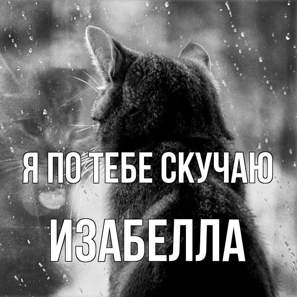 Открытка на каждый день с именем, Изабелла Я по тебе скучаю скорее ко мне приходи 1 Прикольная открытка с пожеланием онлайн скачать бесплатно 