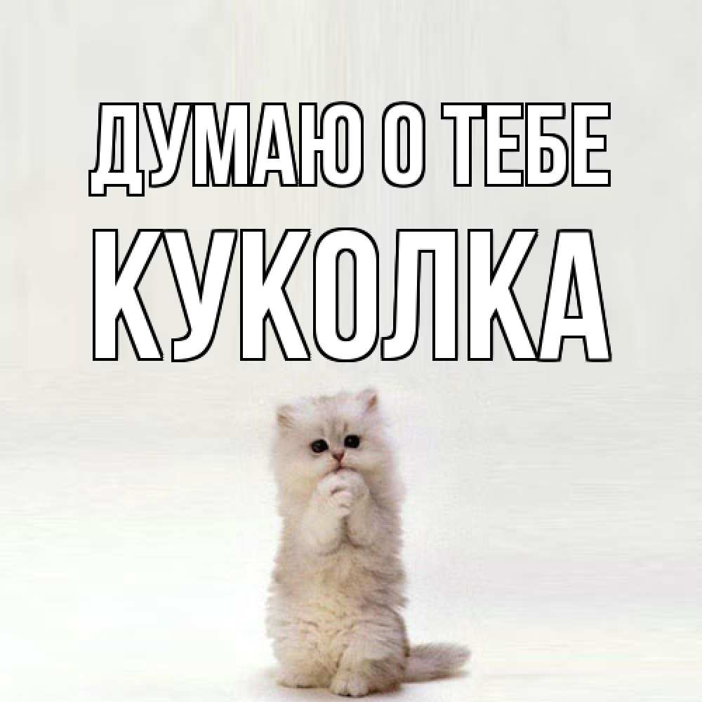 Открытка на каждый день с именем, Куколка Думаю о тебе кот стоит на задних лапах Прикольная открытка с пожеланием онлайн скачать бесплатно 