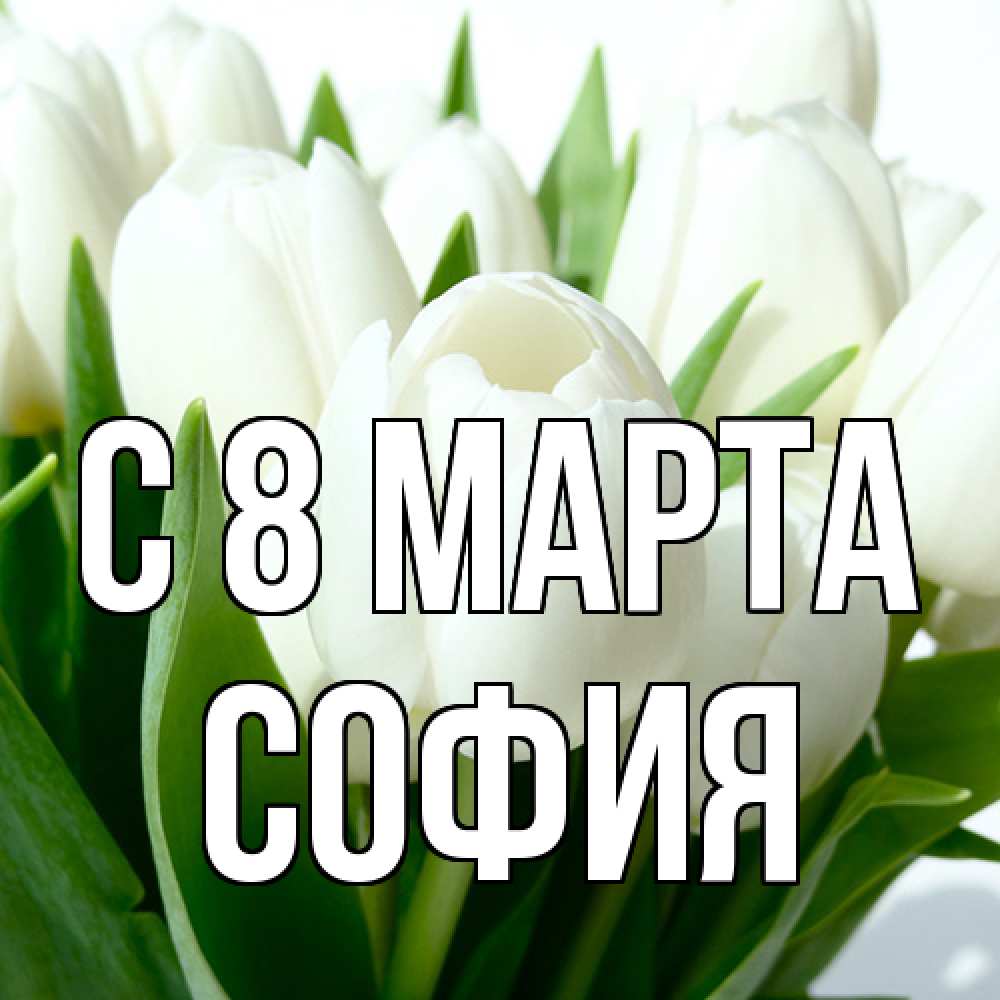 Открытка на каждый день с именем, София C 8 МАРТА цветы Прикольная открытка с пожеланием онлайн скачать бесплатно 