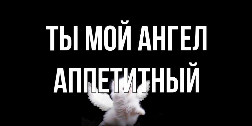 Открытка на каждый день с именем, Аппетитный Ты мой ангел Кот ангел Прикольная открытка с пожеланием онлайн скачать бесплатно 
