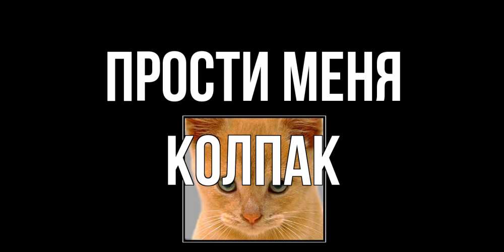 Открытка на каждый день с именем, Колпак Прости меня рыжий грустный кот просит прощения Прикольная открытка с пожеланием онлайн скачать бесплатно 