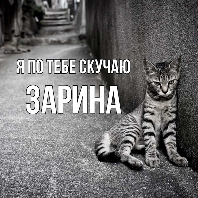 Картинка Я по тебе скучаю, Зарина