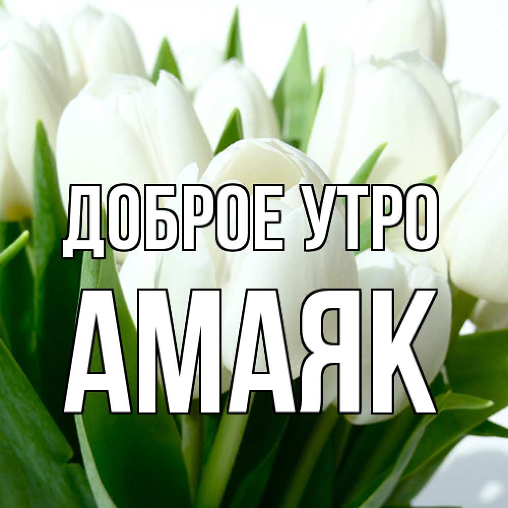 Открытка на каждый день с именем, Амаяк Доброе утро открытки на каждый день по именам Прикольная открытка с пожеланием онлайн скачать бесплатно 