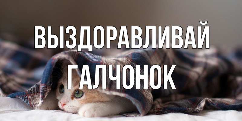 Картинка Выздоравливай, галчонок