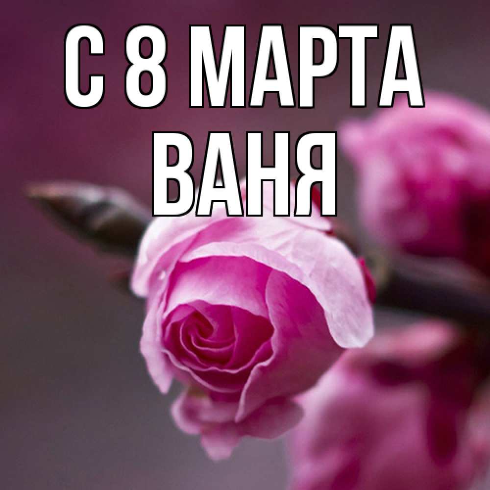 Открытка на каждый день с именем, Ваня C 8 МАРТА весна Прикольная открытка с пожеланием онлайн скачать бесплатно 