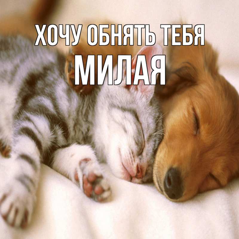 Картинка Хочу обнять тебя, Милая