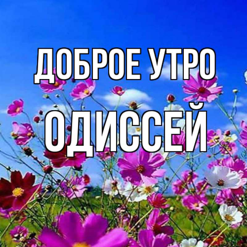 Картинка Доброе утро, Одиссей