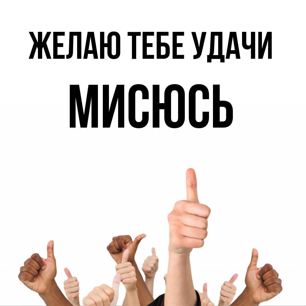 Открытка на каждый день с именем, мисюсь Желаю тебе удачи молодцом Прикольная открытка с пожеланием онлайн скачать бесплатно 