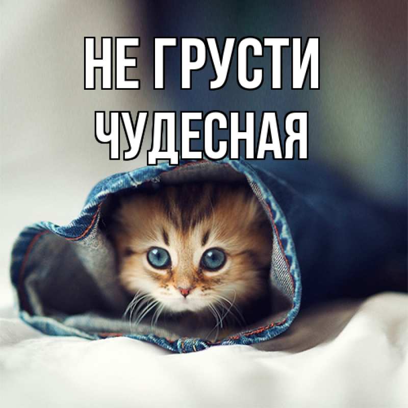 Картинка Не грусти, Чудесная