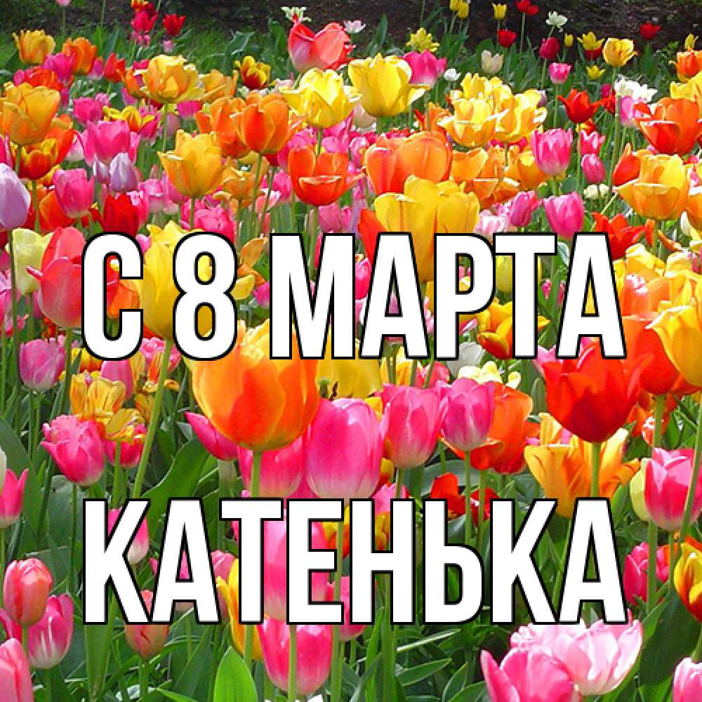 Открытка на каждый день с именем, Катенька C 8 МАРТА на международный женский день Прикольная открытка с пожеланием онлайн скачать бесплатно 