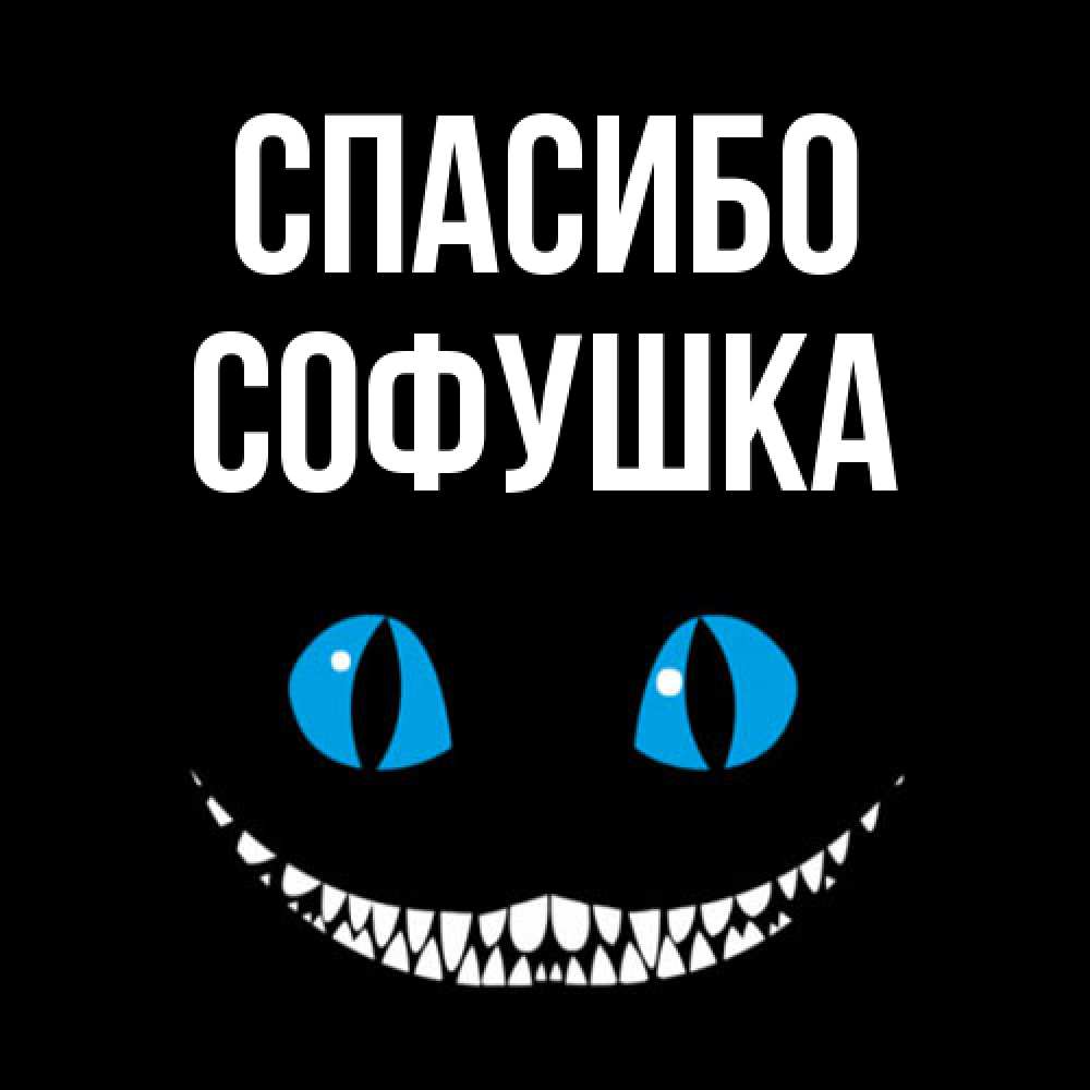 Открытка на каждый день с именем, Софушка Спасибо благодарю от чеширика Прикольная открытка с пожеланием онлайн скачать бесплатно 