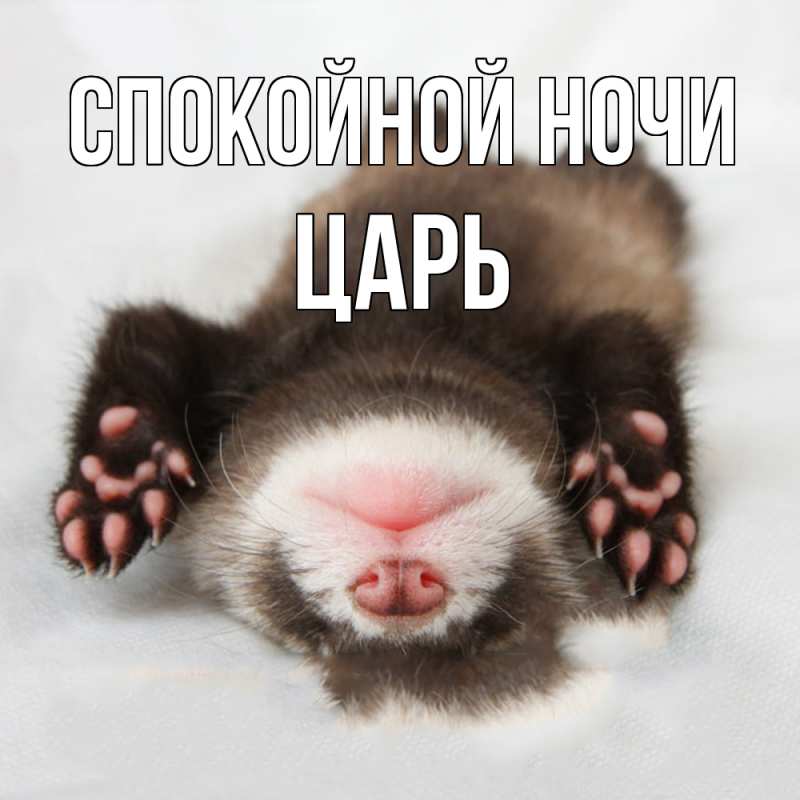 Картинка Спокойной ночи, Царь