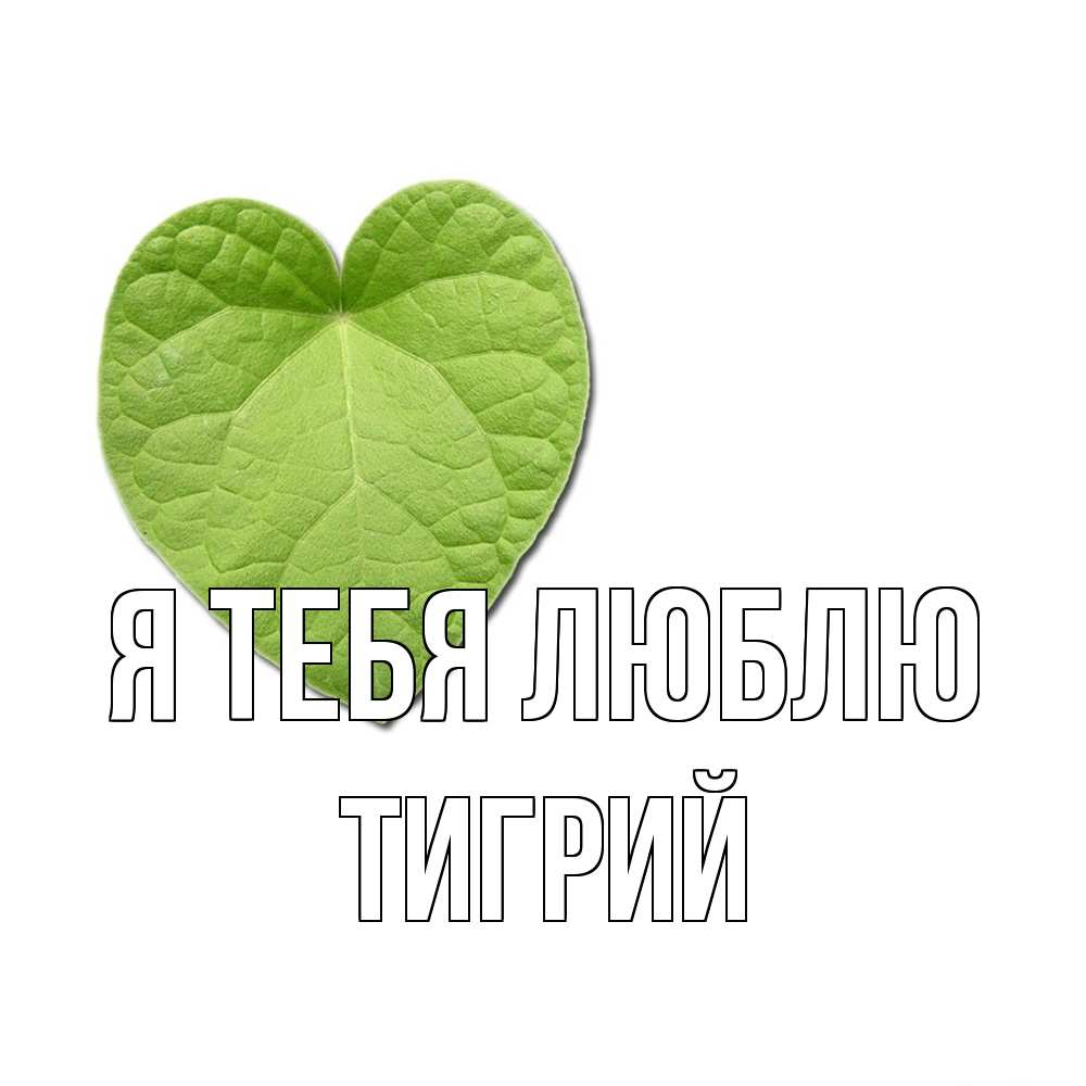 Открытка на каждый день с именем, Тигрий Я тебя люблю тебе Прикольная открытка с пожеланием онлайн скачать бесплатно 