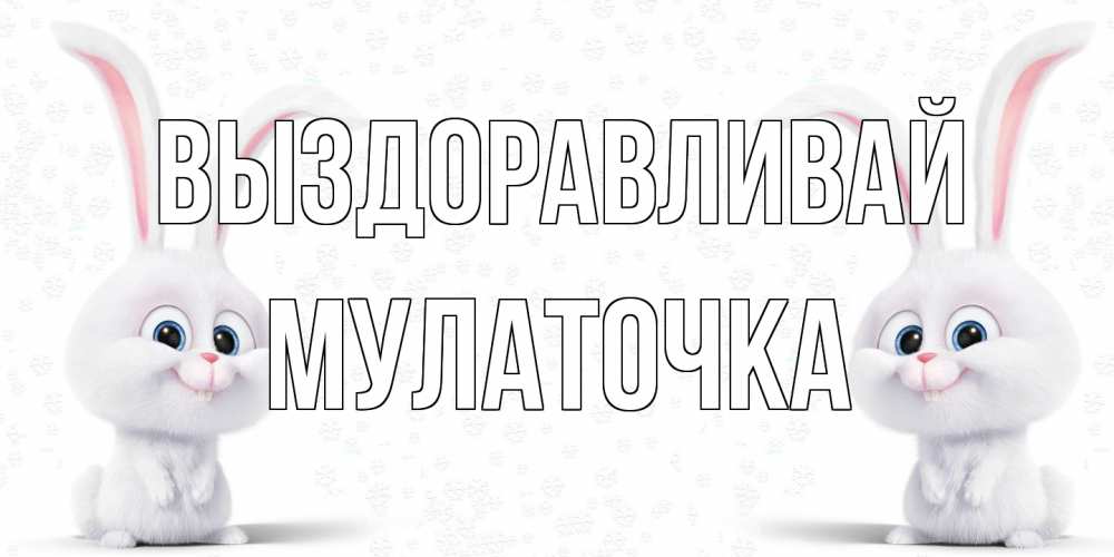 Открытка на каждый день с именем, Мулаточка Выздоравливай не болей с зайцем Прикольная открытка с пожеланием онлайн скачать бесплатно 