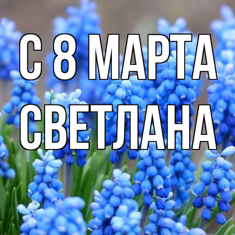 Открытка на каждый день с именем, Светлана C 8 МАРТА Поздравительная открытка для женщин с цветами на праздничную дату Прикольная открытка с пожеланием онлайн скачать бесплатно 