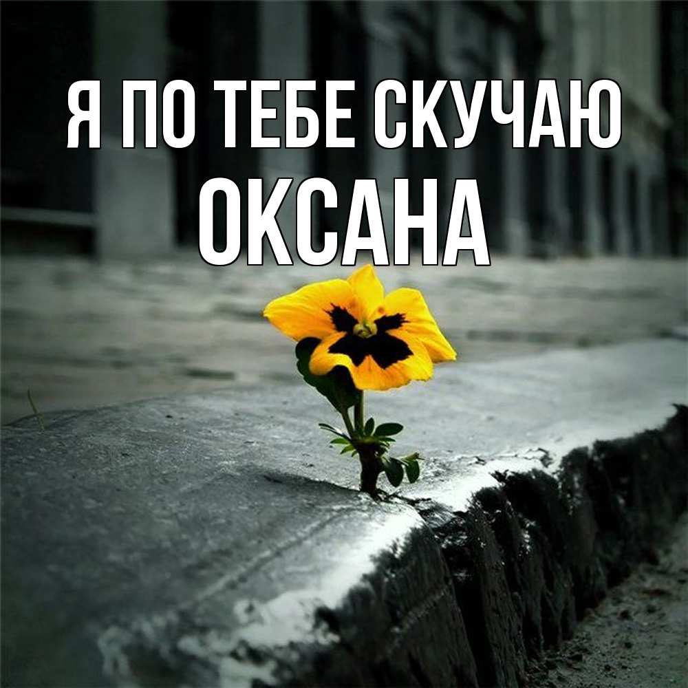 Открытка на каждый день с именем, оксана Я по тебе скучаю надеюсь будет лучше Прикольная открытка с пожеланием онлайн скачать бесплатно 