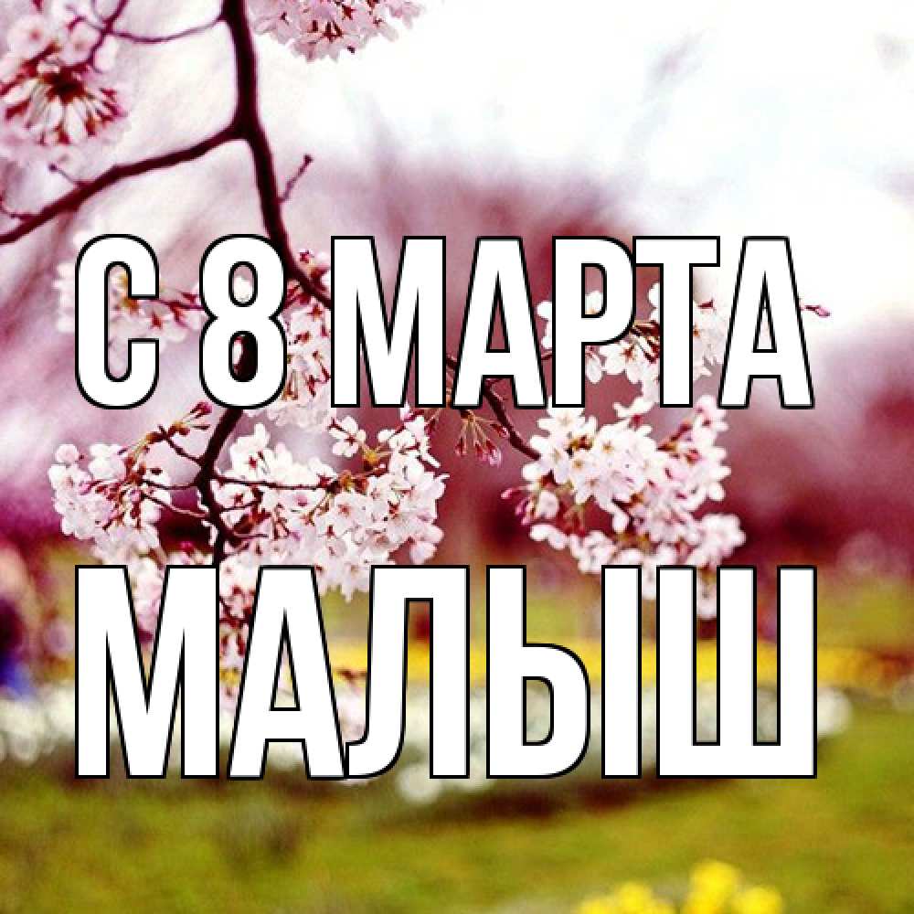 Открытка на каждый день с именем, Малыш C 8 МАРТА яблоня Прикольная открытка с пожеланием онлайн скачать бесплатно 