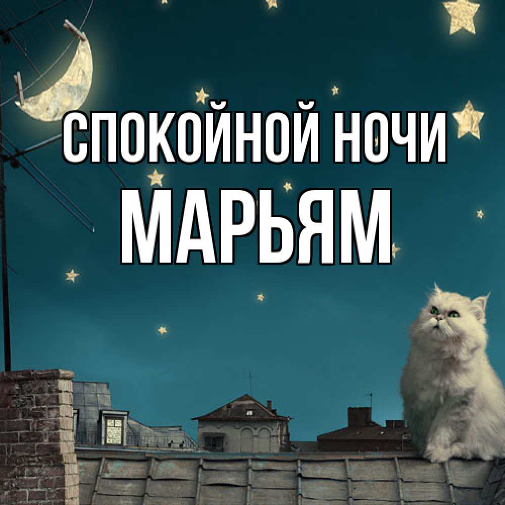 Открытка на каждый день с именем, Марьям Спокойной ночи белый кот сидит на крыше Прикольная открытка с пожеланием онлайн скачать бесплатно 