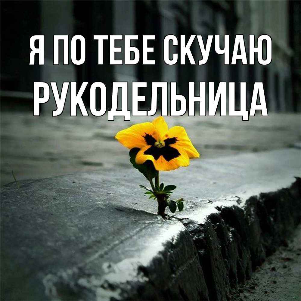 Открытка на каждый день с именем, Рукодельница Я по тебе скучаю надеюсь будет лучше Прикольная открытка с пожеланием онлайн скачать бесплатно 