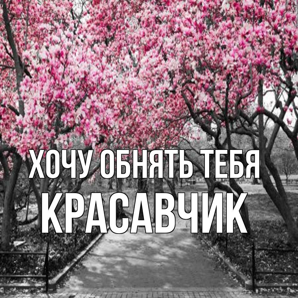 Открытка на каждый день с именем, Красавчик Хочу обнять тебя обработанное фото Прикольная открытка с пожеланием онлайн скачать бесплатно 