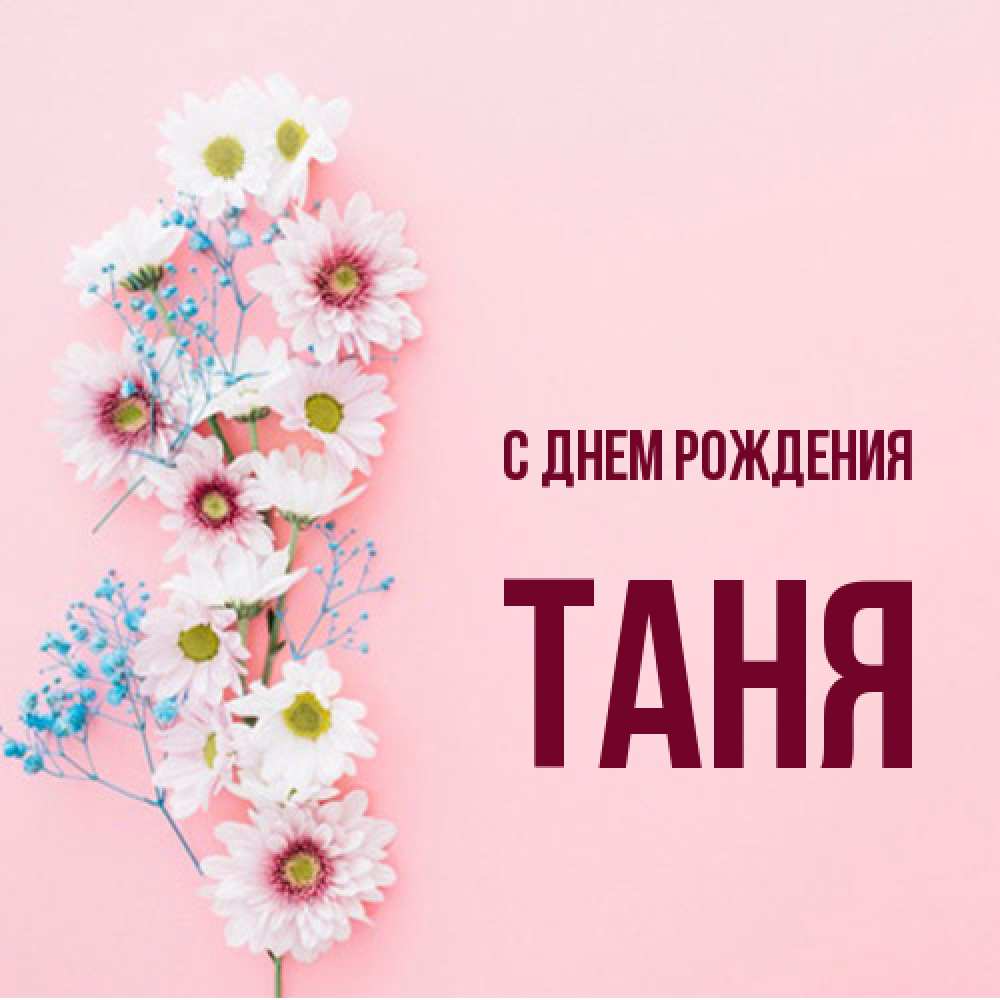 Открытка на каждый день с именем, Таня С днем рождения Родная моя с днем рождения тебя картинка с цветами белыми и голубыми Прикольная открытка с пожеланием онлайн скачать бесплатно 