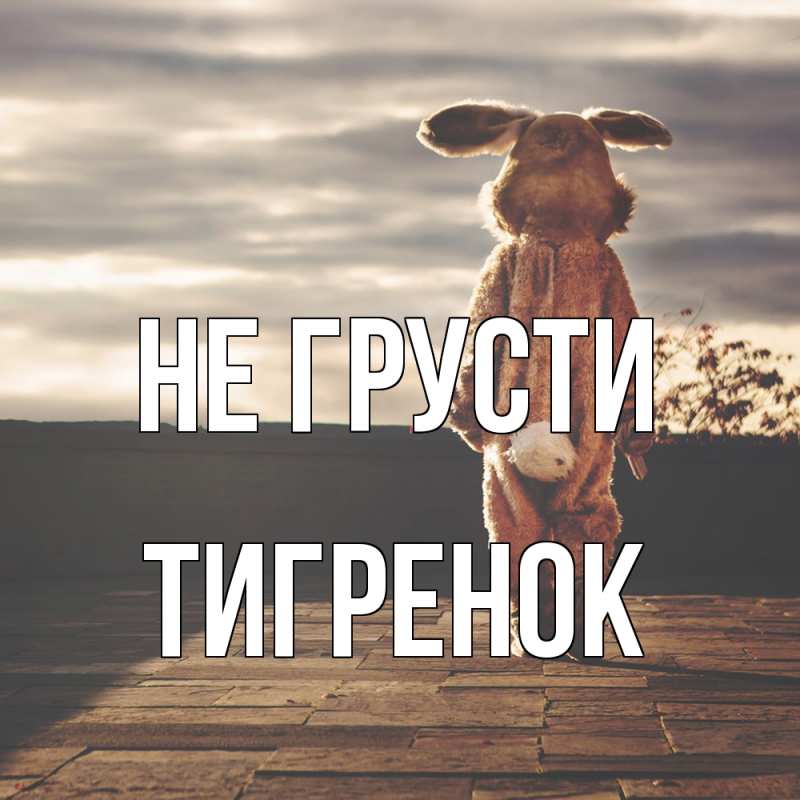 Картинка Не грусти, Тигpенок