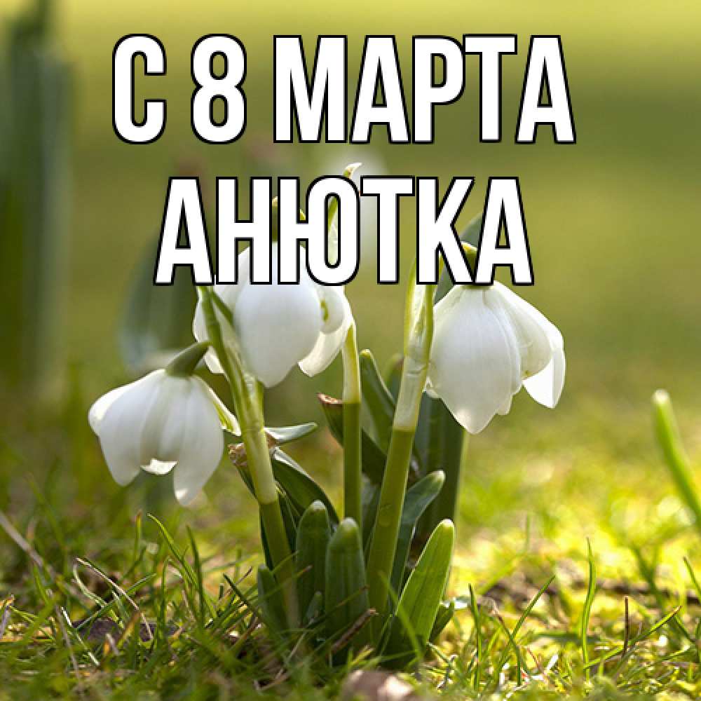 Открытка на каждый день с именем, Анютка C 8 МАРТА ранние цветы 2 Прикольная открытка с пожеланием онлайн скачать бесплатно 