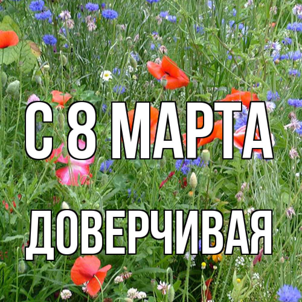 Открытка на каждый день с именем, Доверчивая C 8 МАРТА международный женский день 4 Прикольная открытка с пожеланием онлайн скачать бесплатно 